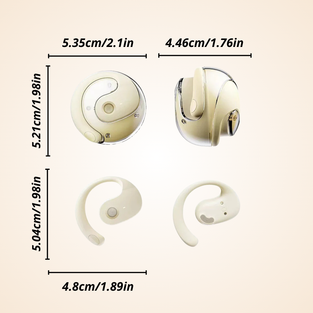 AI Translation Earbuds